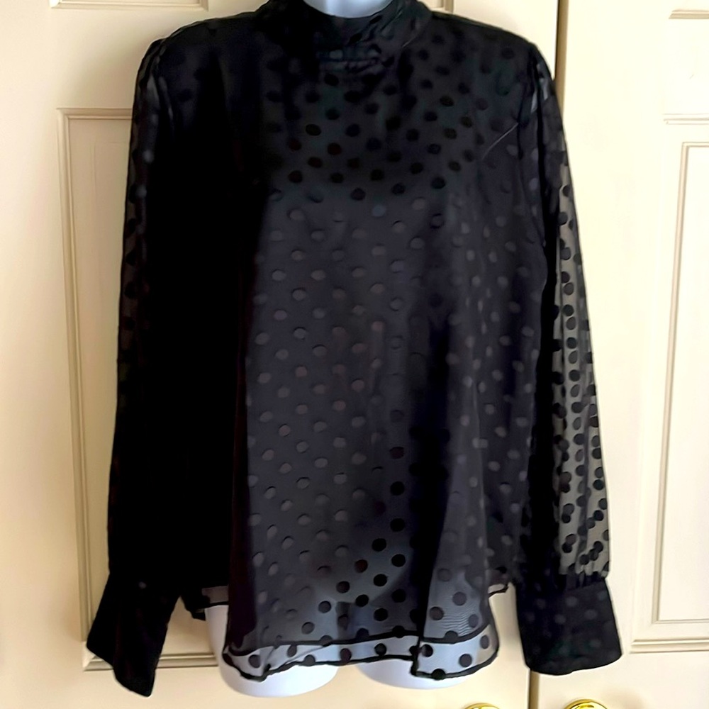 Women’s Ann Taylor Blouse, sheer black with lined bodice